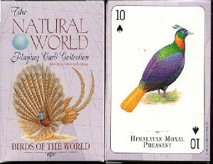 birdsoftheworldcards.jpg
