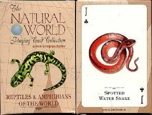 reptilesoftheworldcards.jpg